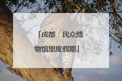 成都：民众博物馆里度假期