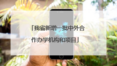 我省新增一批中外合作办学机构和项目