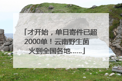 才开始，单日寄件已超2000单！云南野生菌火到全国各地……