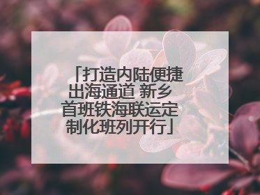 打造内陆便捷出海通道 新乡首班铁海联运定制化班列开行