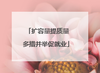 扩容量提质量 多措并举促就业