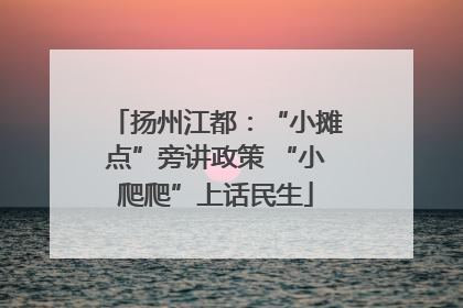 扬州江都：“小摊点”旁讲政策 “小爬爬”上话民生
