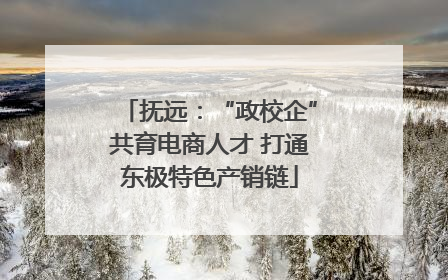 抚远：“政校企”共育电商人才 打通东极特色产销链