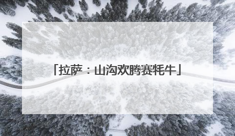 拉萨：山沟欢腾赛牦牛