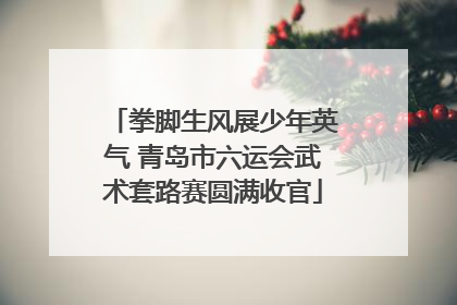 拳脚生风展少年英气 青岛市六运会武术套路赛圆满收官