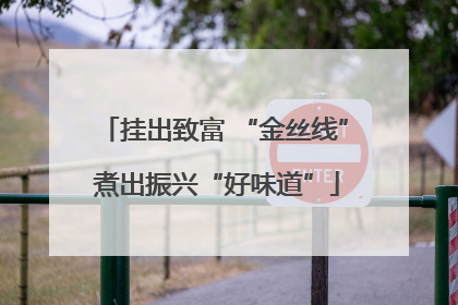 挂出致富 “金丝线” 煮出振兴“好味道”