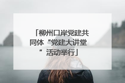 柳州口岸党建共同体“党建大讲堂”活动举行