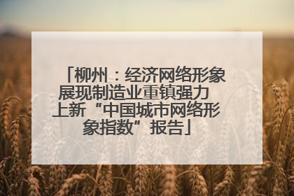 柳州：经济网络形象展现制造业重镇强力 上新“中国城市网络形象指数”报告