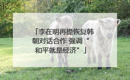 李在明再提恢复韩朝对话合作 强调“和平就是经济”