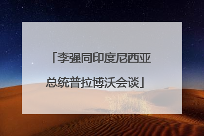 李强同印度尼西亚总统普拉博沃会谈