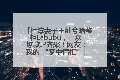 杜淳妻子王灿兮晒整柜Labubu，一众爆款IP齐聚！网友：我的 “梦中情柜”