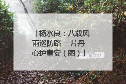 杨水良：八载风雨巡防路 一片丹心护童安（图）