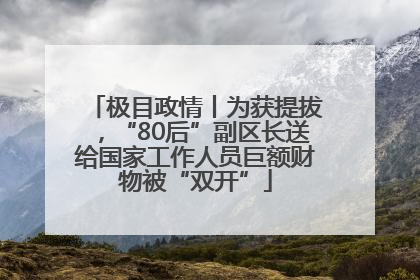 极目政情丨为获提拔，“80后”副区长送给国家工作人员巨额财物被“双开”