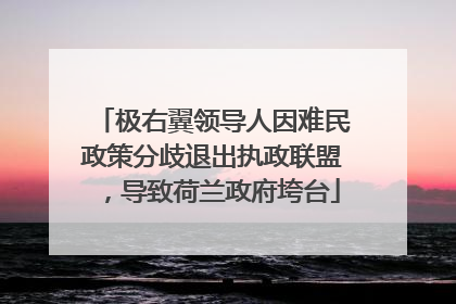 极右翼领导人因难民政策分歧退出执政联盟，导致荷兰政府垮台