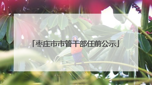 枣庄市市管干部任前公示