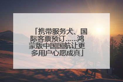 携带服务犬、国际客票预订……鸿蒙版中国国航让更多用户心愿成真