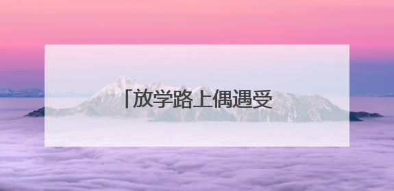 放学路上偶遇受伤夜鹭，聊城三名小学生求助民警