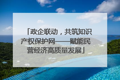 政企联动，共筑知识产权保护网——赋能民营经济高质量发展