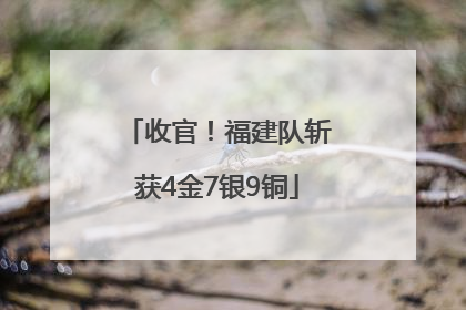 收官！福建队斩获4金7银9铜