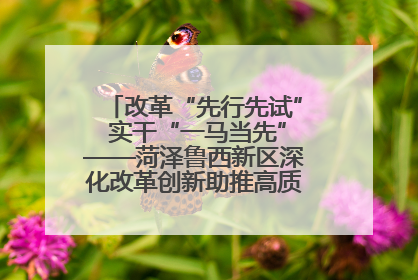 改革“先行先试” 实干“一马当先”——菏泽鲁西新区深化改革创新助推高质量发展纪实