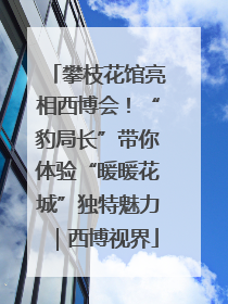 攀枝花馆亮相西博会！“豹局长”带你体验“暖暖花城”独特魅力｜西博视界