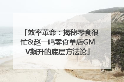 效率革命：揭秘零食很忙&赵一鸣零食单店GMV飙升的底层方法论