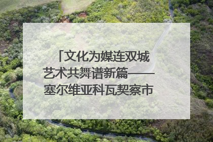文化为媒连双城 艺术共舞谱新篇——塞尔维亚科瓦契察市代表团访问日照