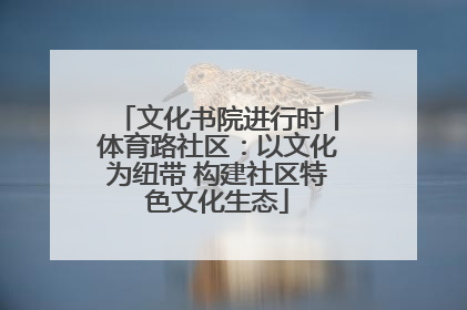 文化书院进行时丨体育路社区：以文化为纽带 构建社区特色文化生态