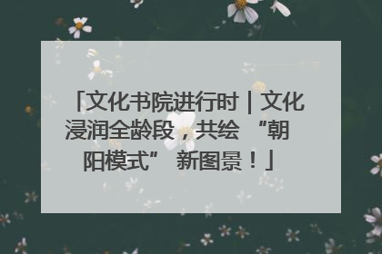 文化书院进行时｜文化浸润全龄段，共绘 “朝阳模式” 新图景！
