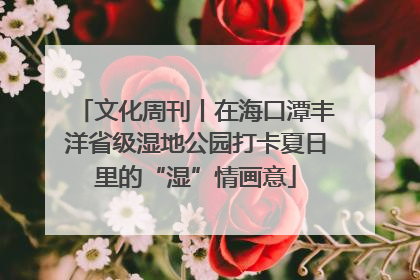 文化周刊丨在海口潭丰洋省级湿地公园打卡夏日里的“湿”情画意