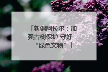 新疆阿拉尔：加强古树保护 守好“绿色文物”