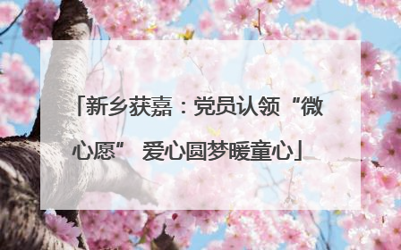 新乡获嘉：党员认领“微心愿” 爱心圆梦暖童心