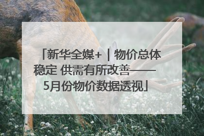 新华全媒+｜物价总体稳定 供需有所改善——5月份物价数据透视