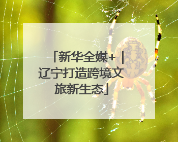 新华全媒+｜辽宁打造跨境文旅新生态