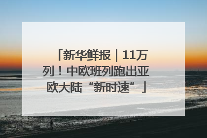 新华鲜报｜11万列！中欧班列跑出亚欧大陆“新时速”