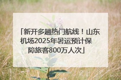 新开多趟热门航线！山东机场2025年暑运预计保障旅客800万人次