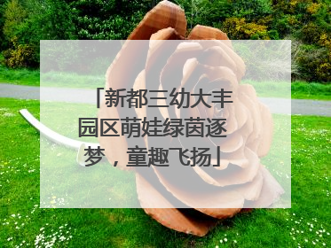 新都三幼大丰园区萌娃绿茵逐梦，童趣飞扬