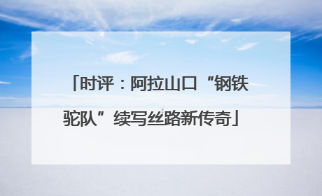 时评：阿拉山口“钢铁驼队”续写丝路新传奇