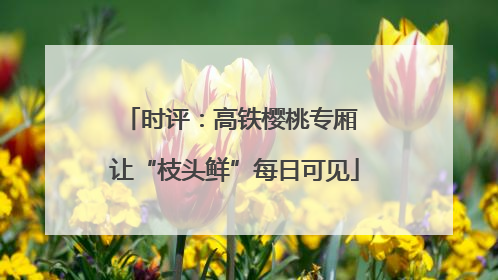 时评：高铁樱桃专厢 让“枝头鲜”每日可见