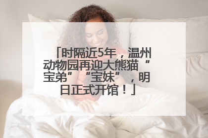 时隔近5年，温州动物园再迎大熊猫“宝弟”“宝妹”，明日正式开馆！