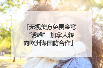 无视美方免费金穹“诱惑” 加拿大转向欧洲谋国防合作
