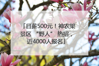 日薪500元！神农架景区 “野人” 热招，近4000人报名