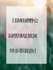 昆明郊野公园绣球绽放演绎多彩夏韵