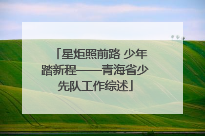 星炬照前路 少年踏新程——青海省少先队工作综述