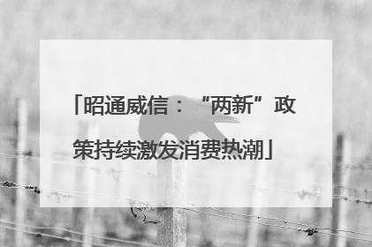 昭通威信：“两新”政策持续激发消费热潮
