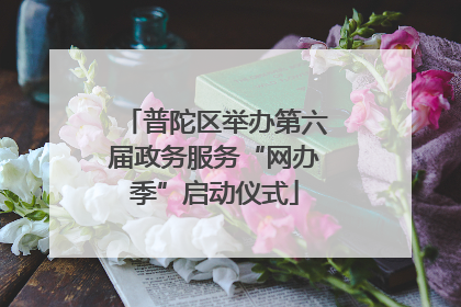 普陀区举办第六届政务服务“网办季”启动仪式