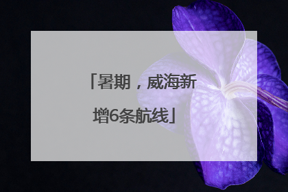 暑期，威海新增6条航线