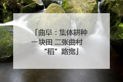 曲阜：集体耕种一块田 二张曲村“稻”路宽