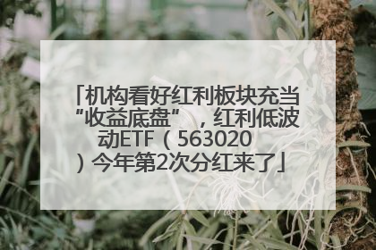 机构看好红利板块充当“收益底盘”，红利低波动ETF（563020）今年第2次分红来了