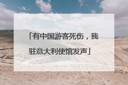 有中国游客死伤，我驻意大利使馆发声